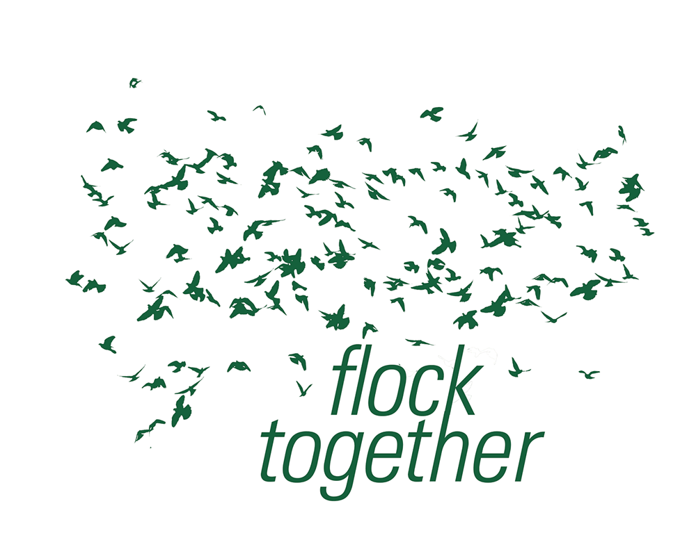 flock_jan.gif