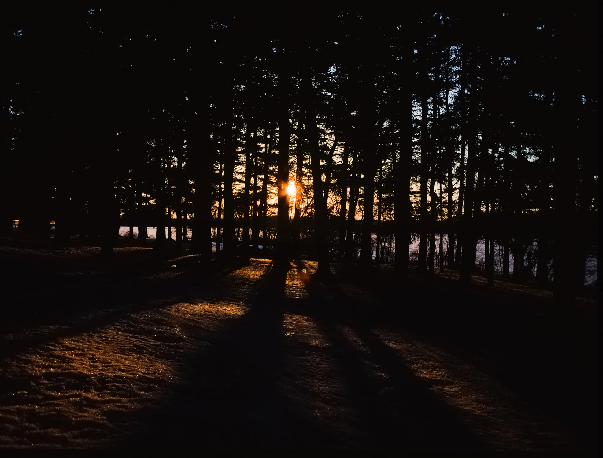 2015_009_021_Velvia50_Mam645_Misc_002.jpg