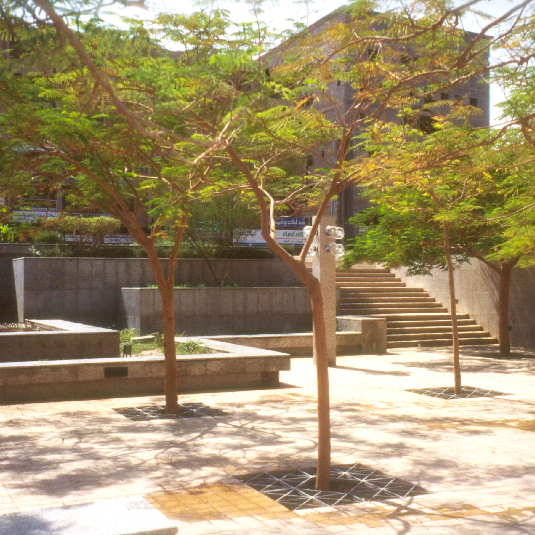 s32.jpg