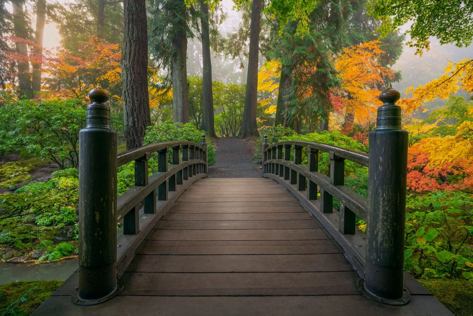 Japanese-Garden-Bridge-Autumn