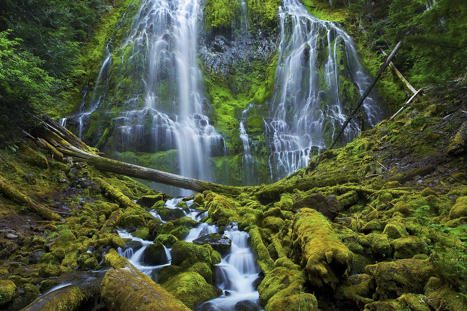 Oversized Waterfall Wall Art: Large landscape photo print of a moss-covered waterfall in the Pacific Northwest in Spring and Summer.