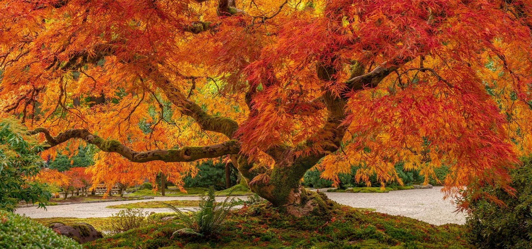 _DSC8757-Pano WEB.jpg