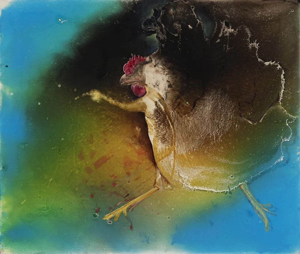12.+Barbara+Friedman+%22Why+the+Chicken+Crossed+the+Road%22.jpg