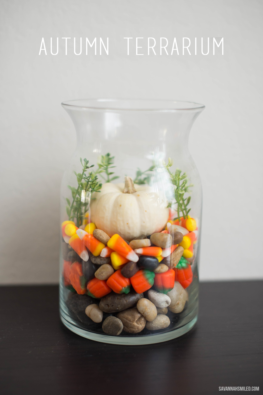 simple-fall-autumn-terrarium-pumpkin-2_edited-1.png