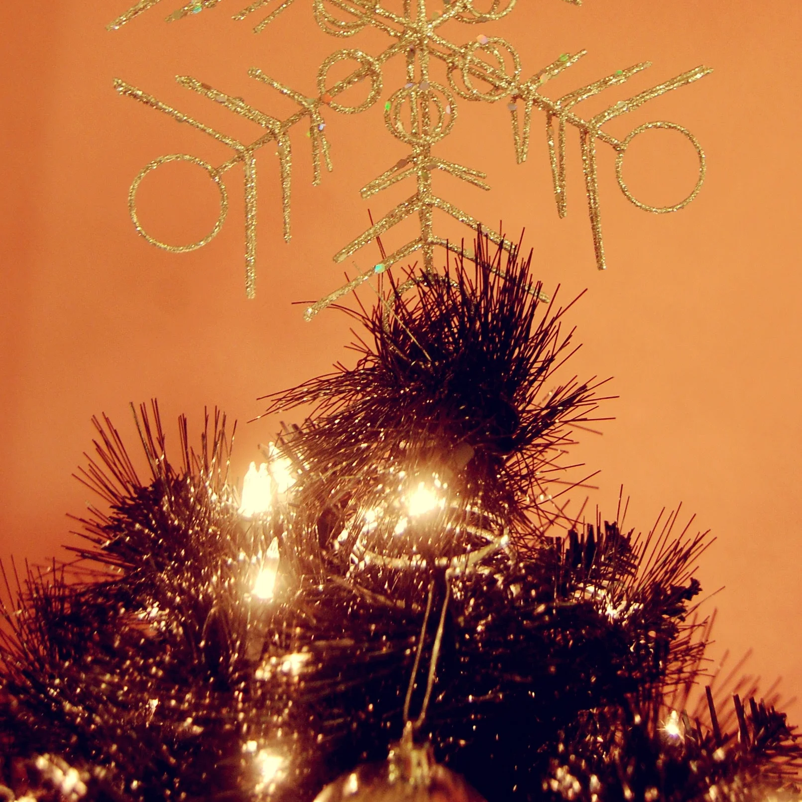 Little Black Tree