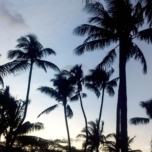 From Mainland to Island