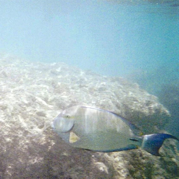 Under Hanauma Bay