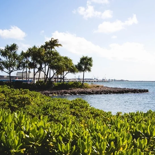 Pearl Harbor