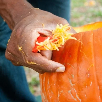 Pumpkin Carving
