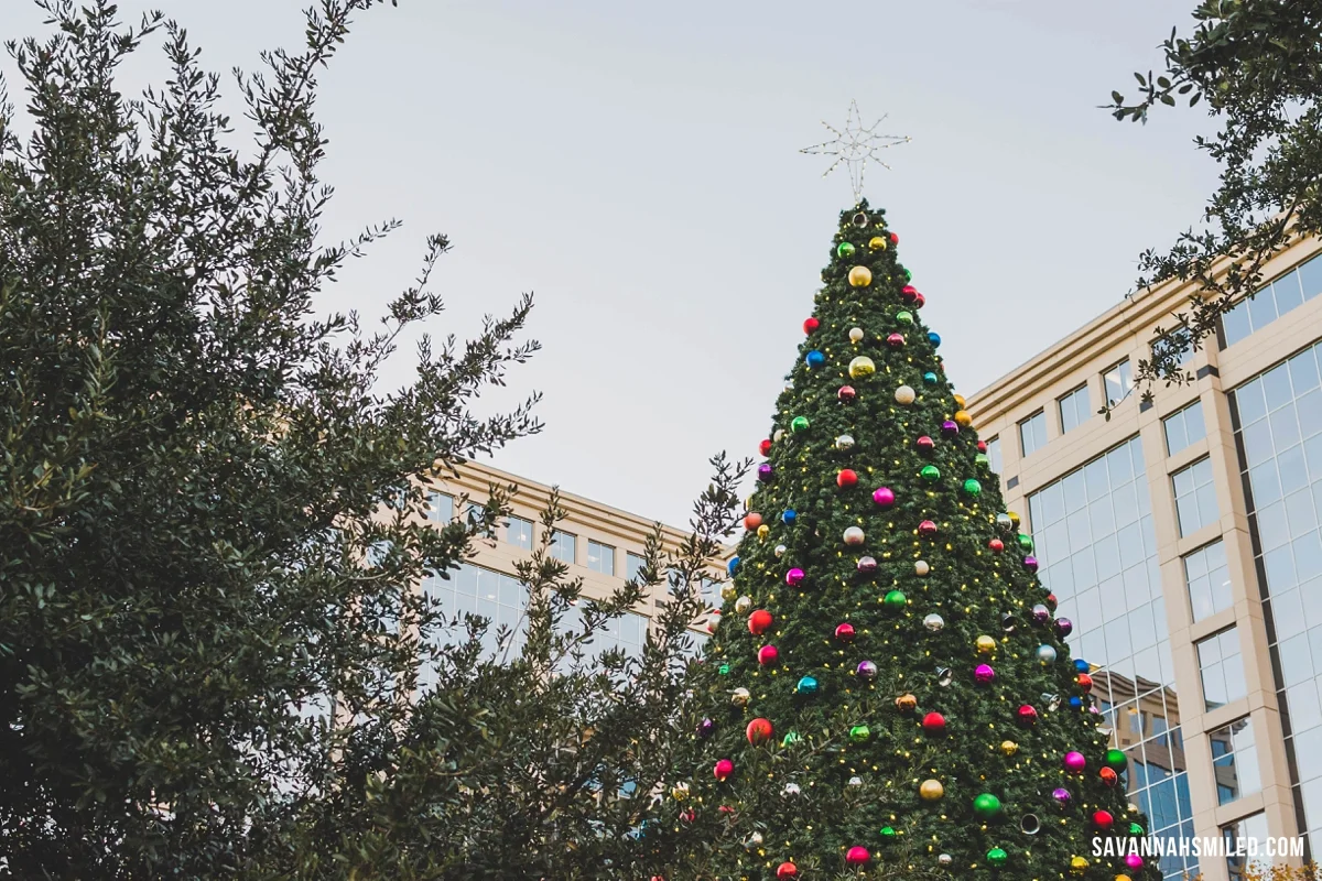 dallas-christmas-tree-13.jpg