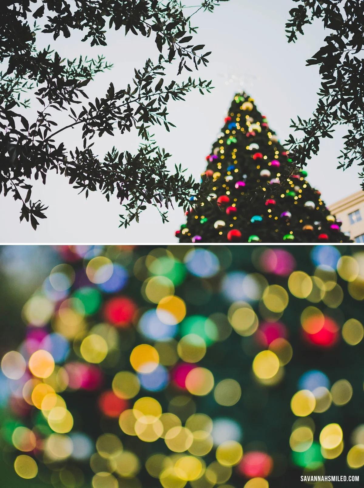 dallas-christmas-tree-6.jpg