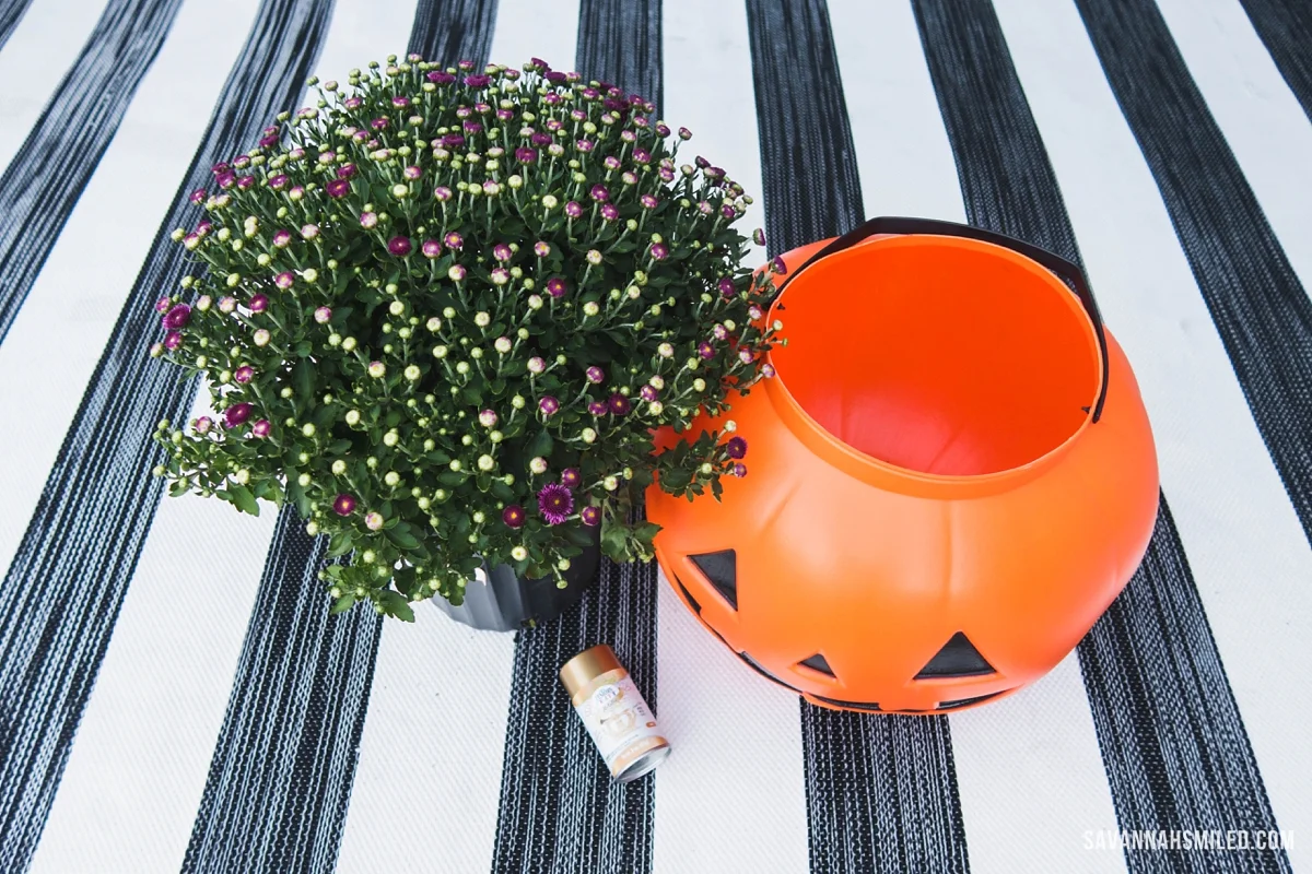 pumpkin-porch-mums-7.jpg