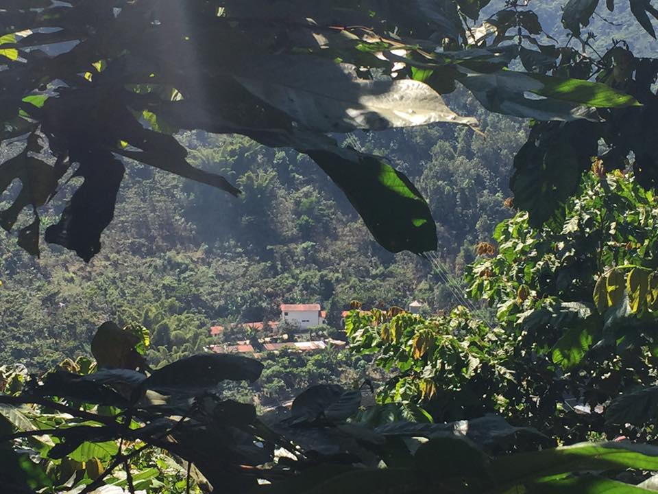 After a long walk through coffee trees and steep mountain sides it is definitely time to enjoy the view.