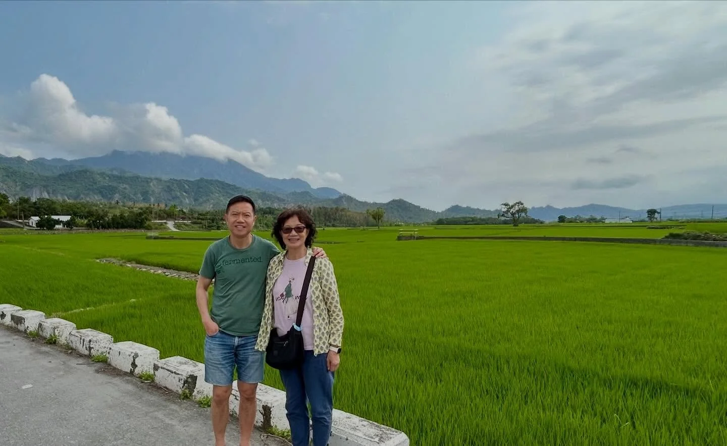 Rice (Oryza sativa) cultivation fields of eastern Taiwan.