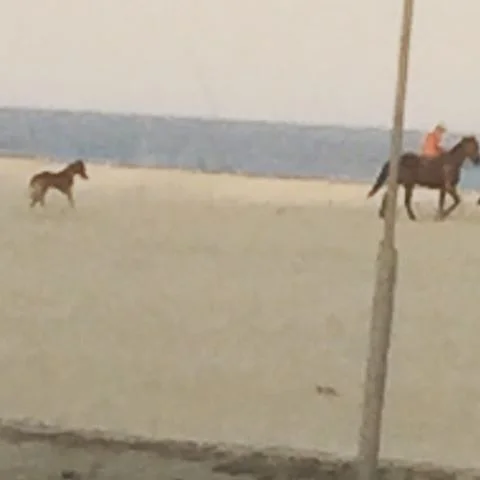 Beach baby