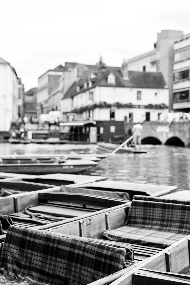 _MG_6537.jpg