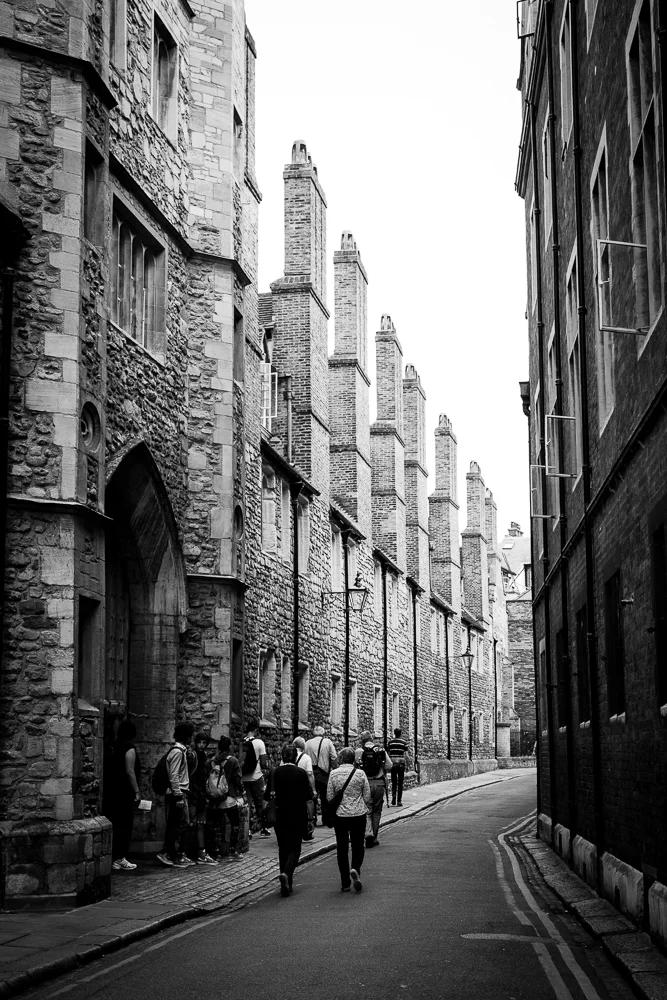 _MG_6547.jpg