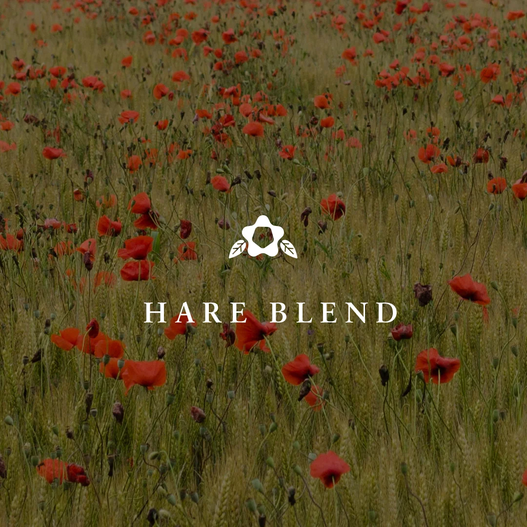 HareBlend.jpg