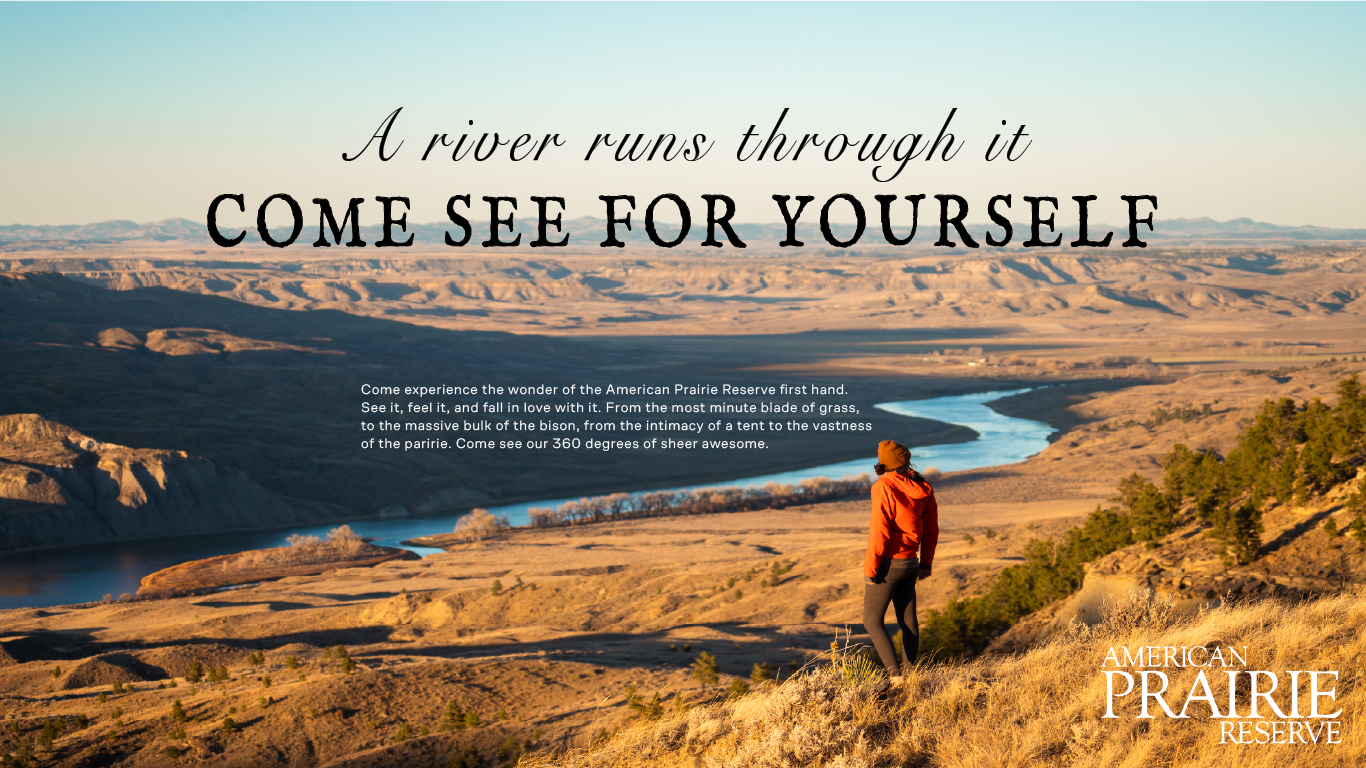 APR_ComeSee copy-02.png