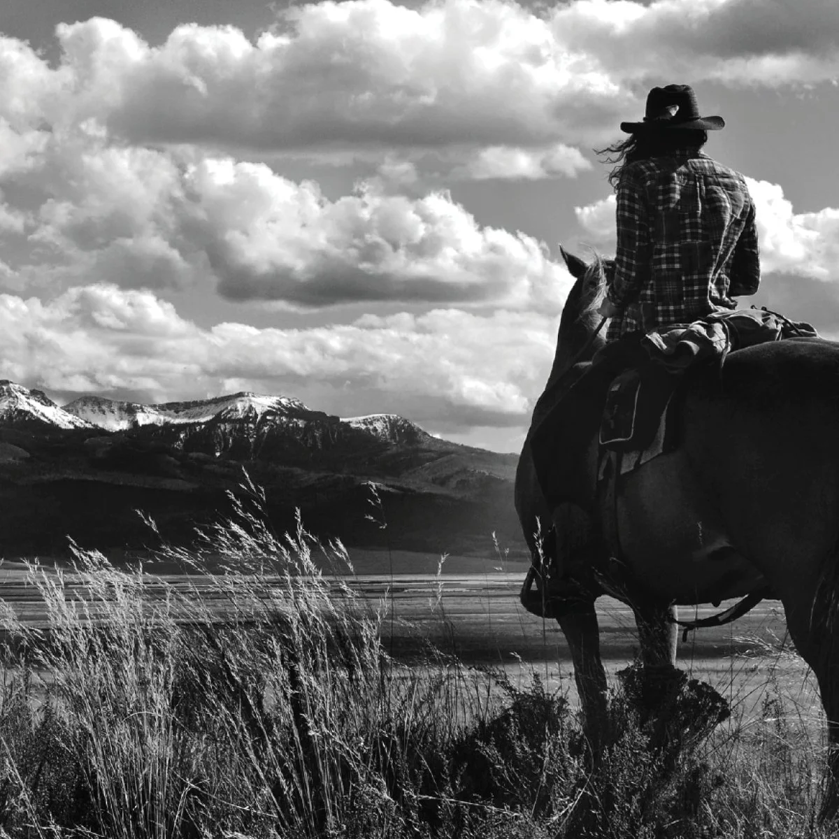 PC thumbnails-66.jpg