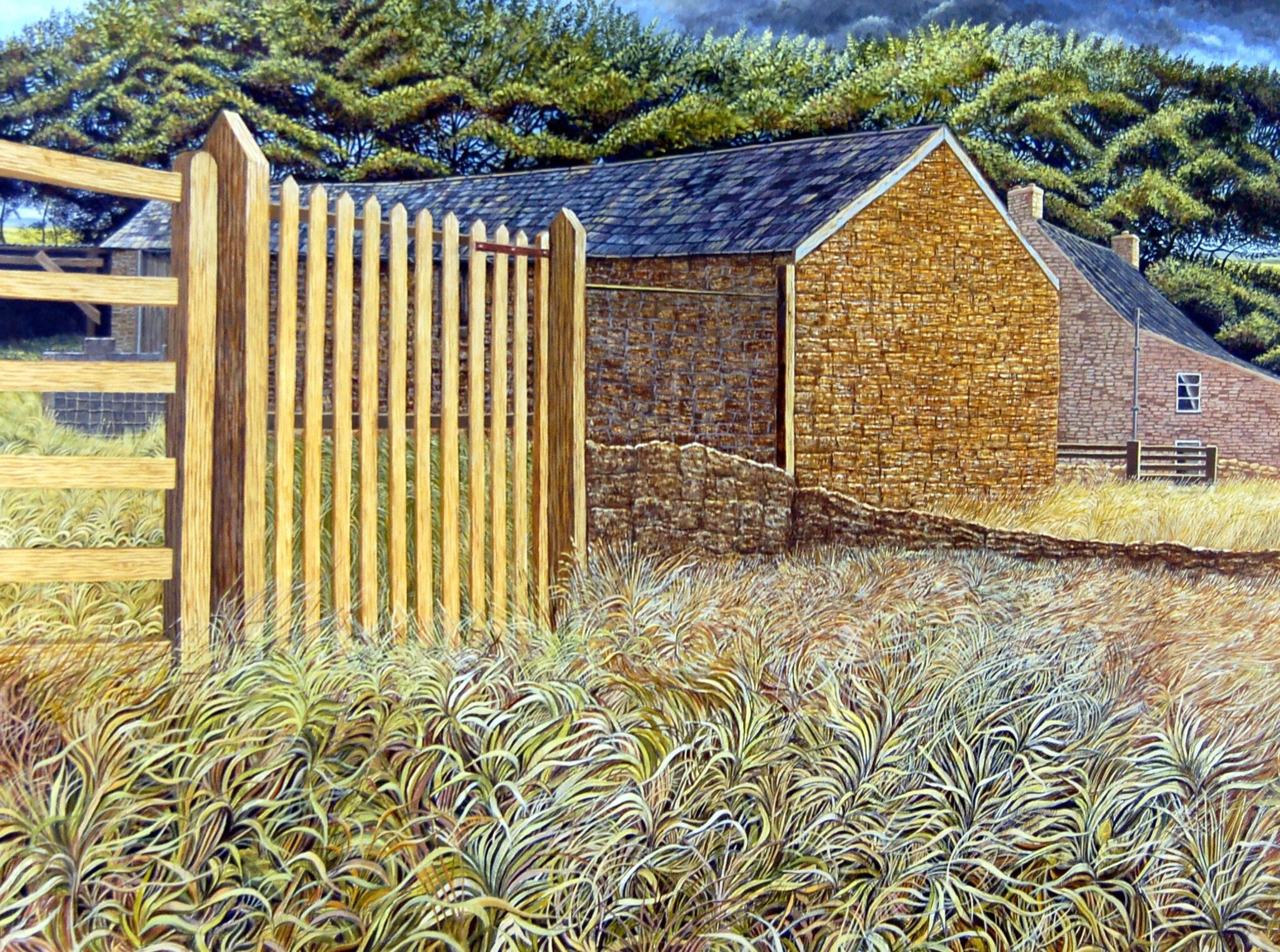 moma machynlleth collection casgliad moma machynlleth 3.jpg