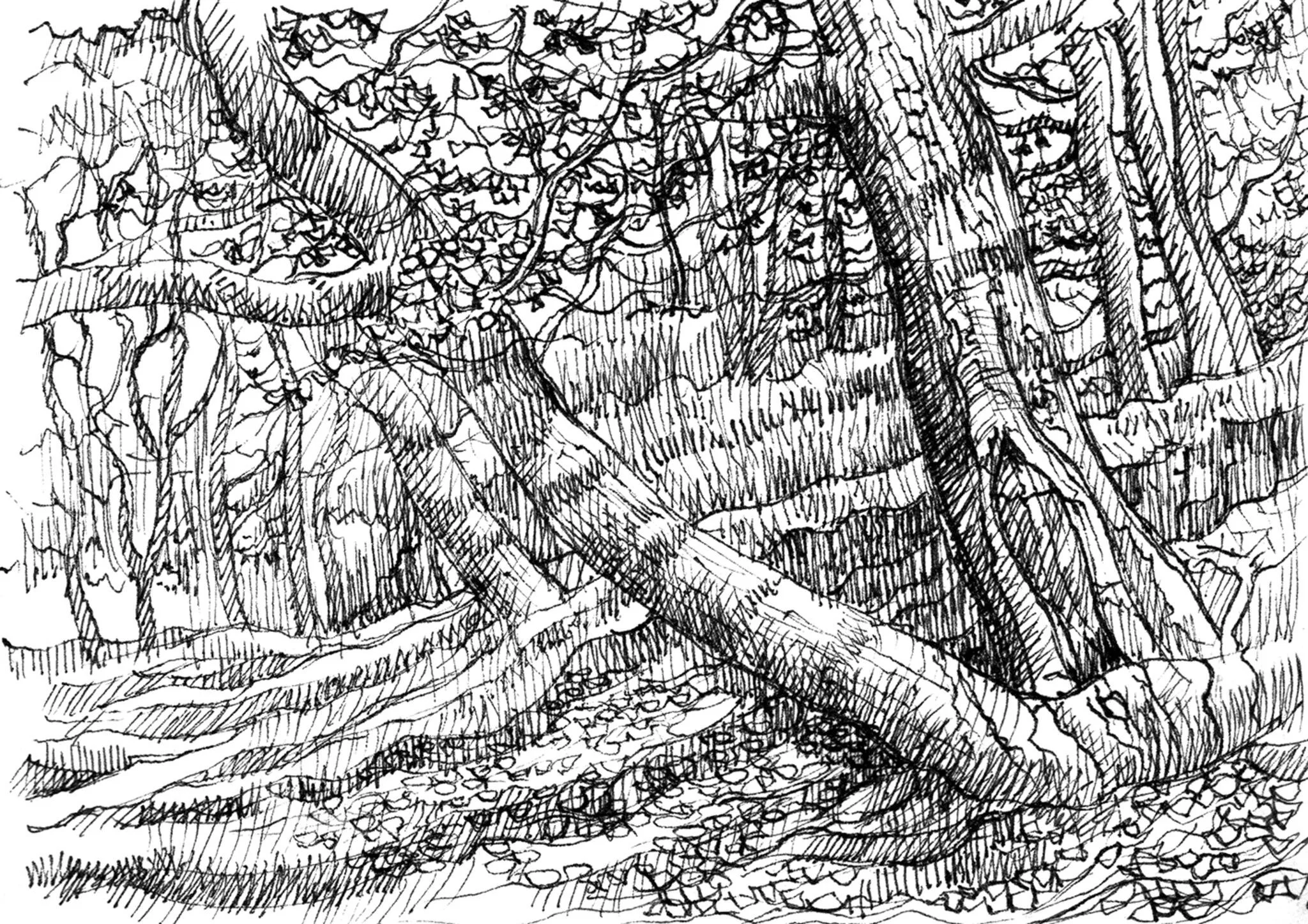 Small Sketch 5 - Llun Bach 5