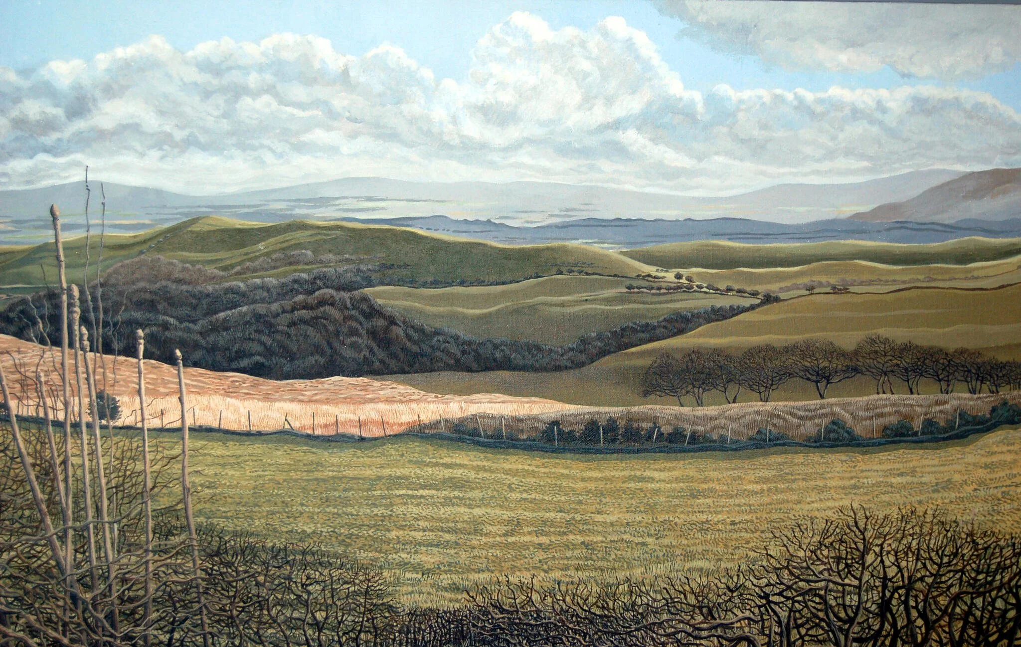  private collection casgliad preifat 14.jpg