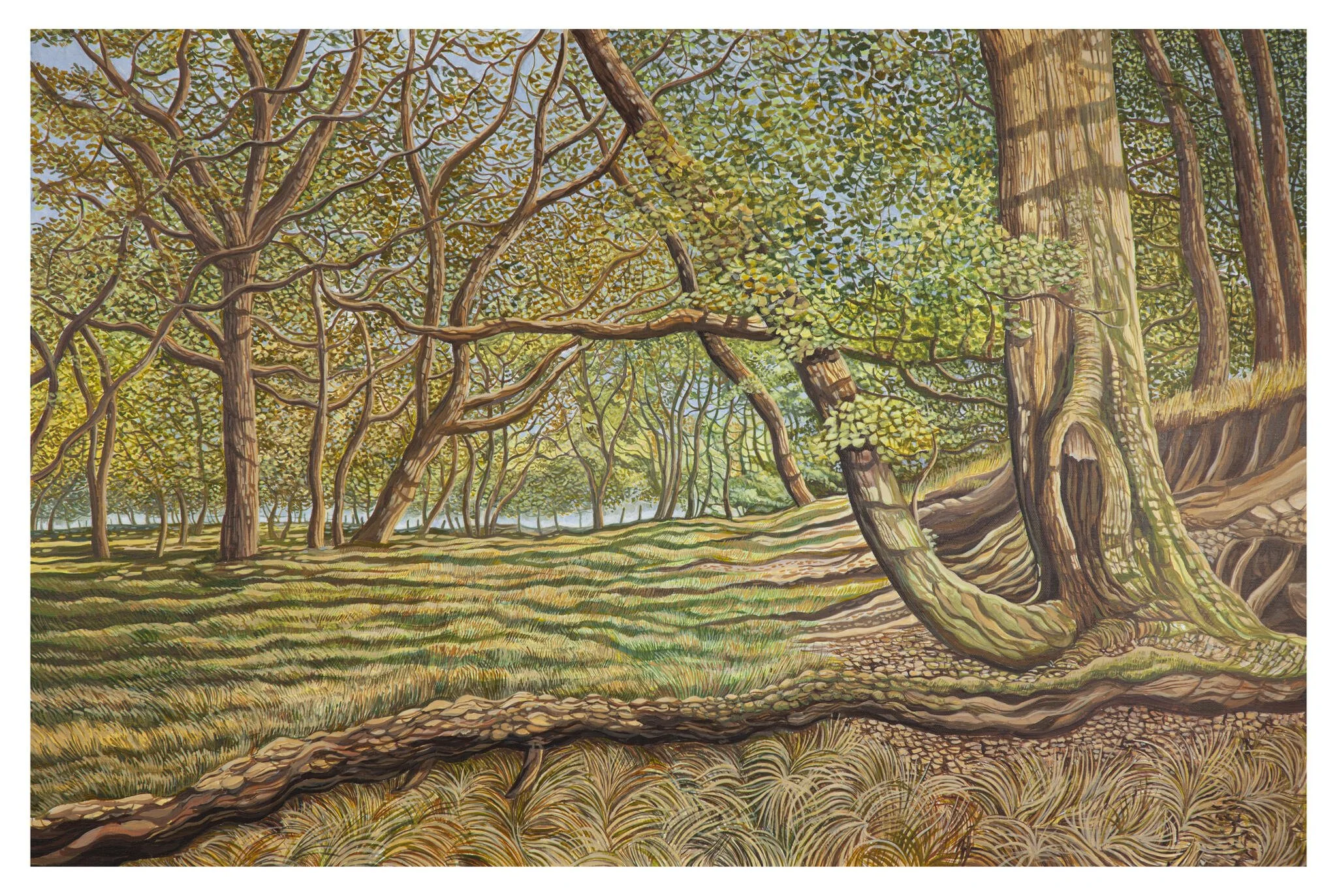 Still Voices - Lleisiau Llonydd