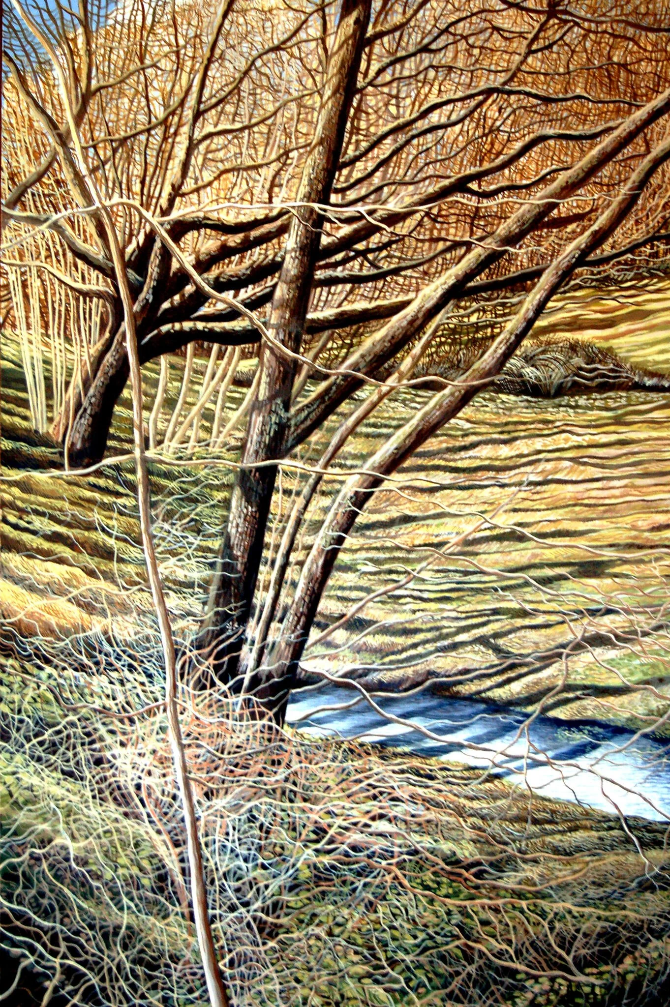  private collection casgliad preifat 26.jpg