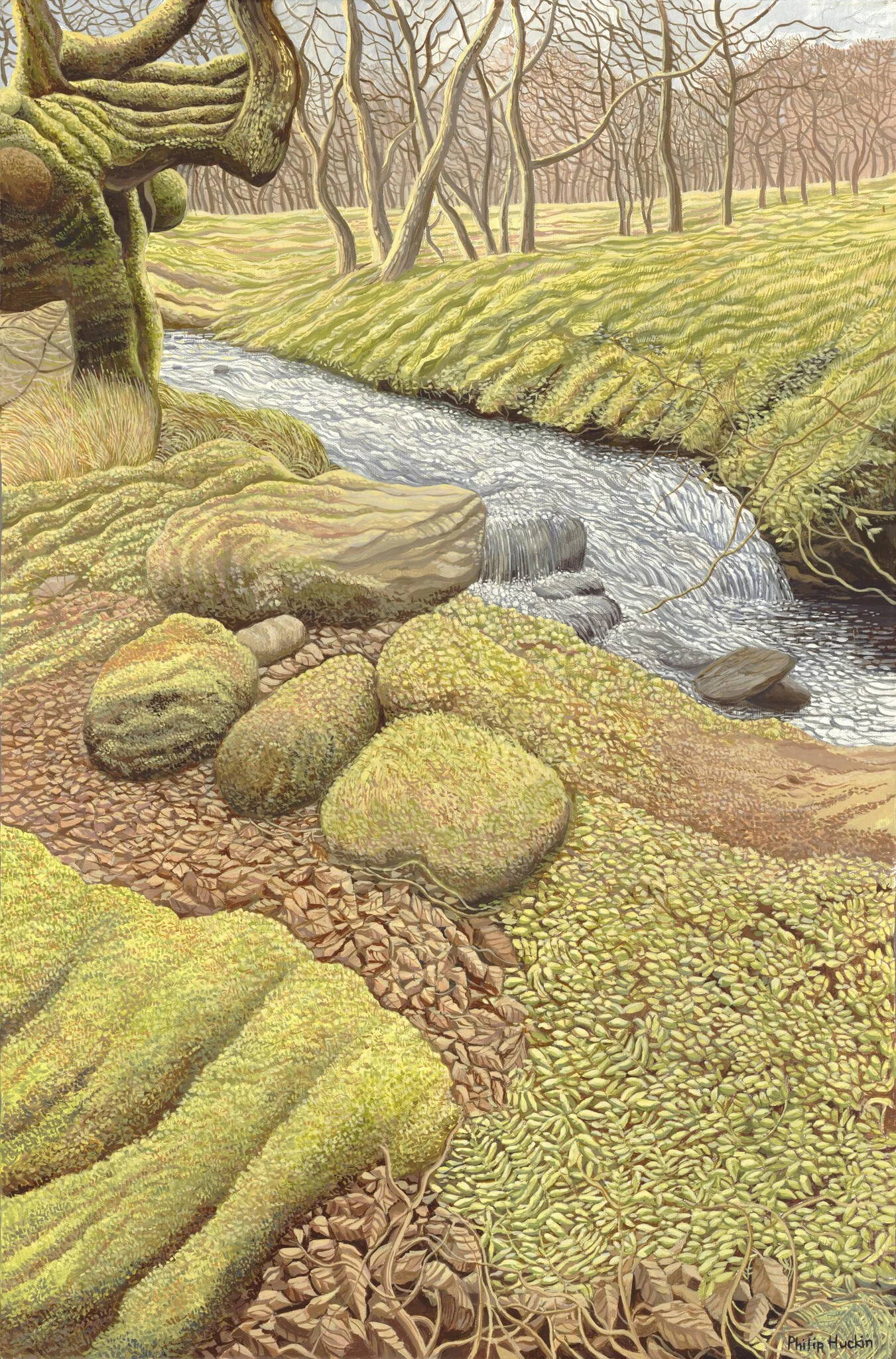 Mossy Bank - Glan Fwsoglyd