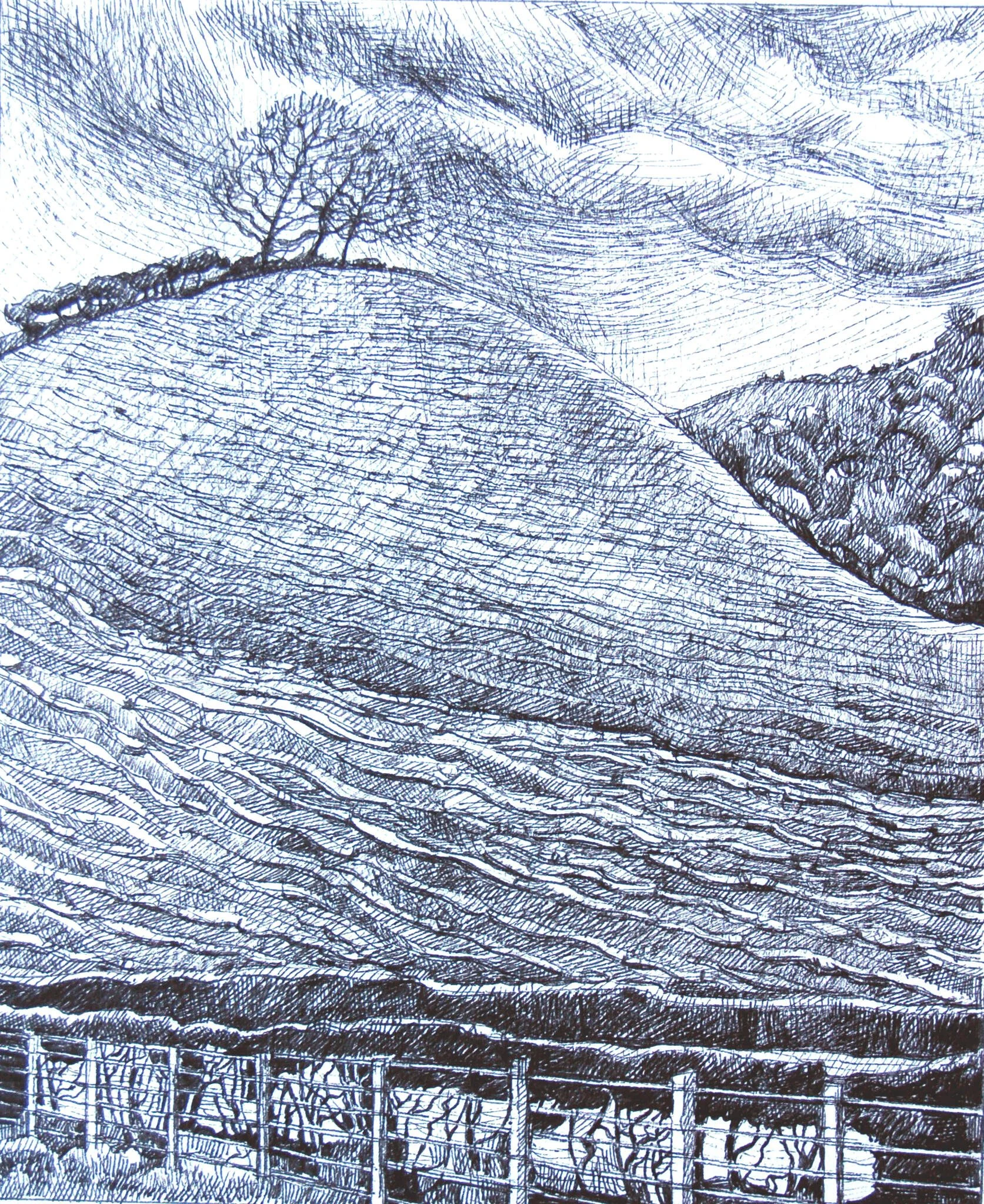  private collection casgliad preifat 11.jpg