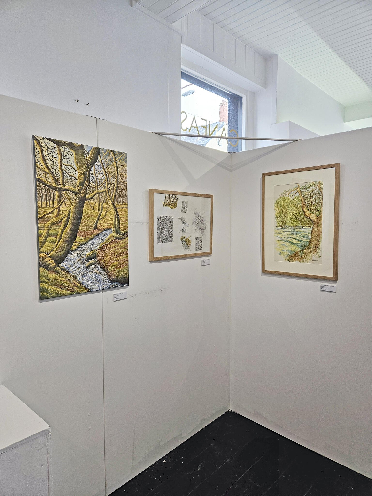 CANAVAS_GALLERY_05.jpg