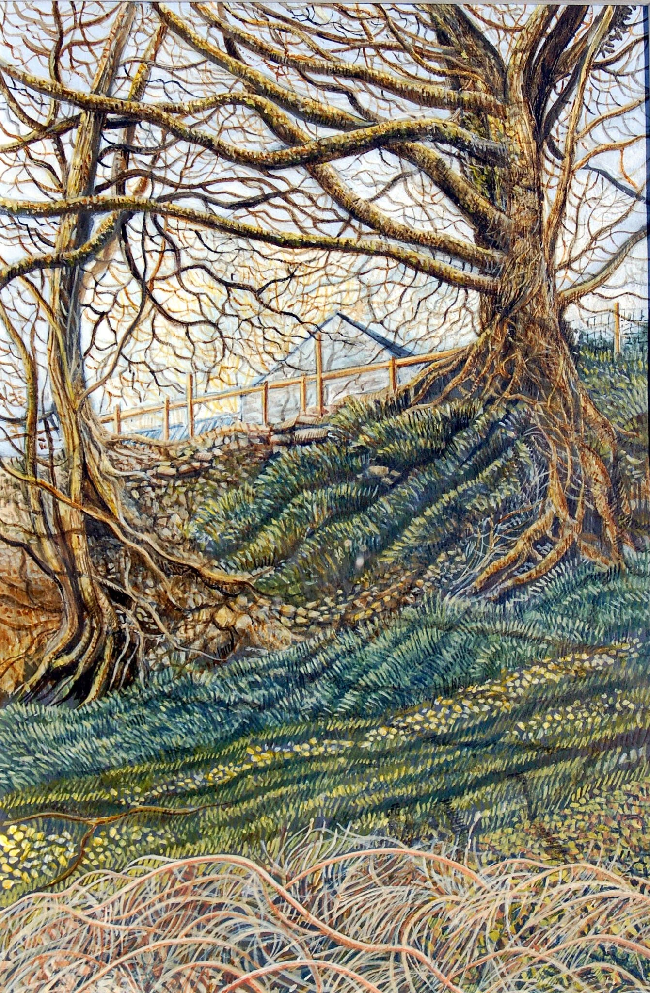  private collection casgliad preifat 33.jpg