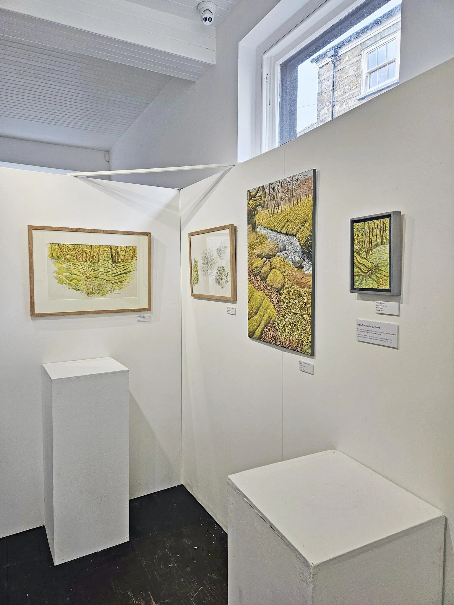 CANAVAS_GALLERY_06.jpg