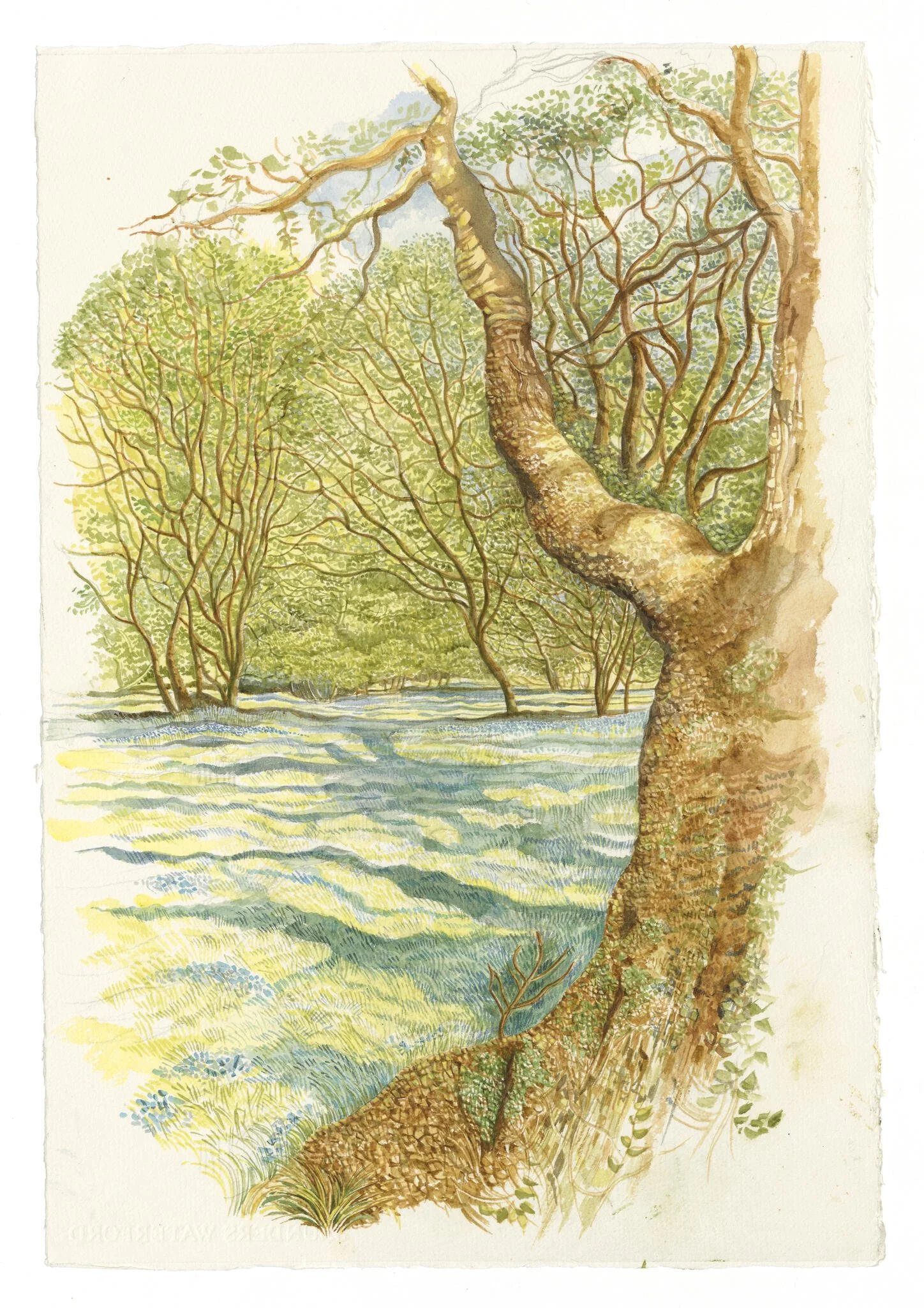 Long Shadows - Cysgodion Hir