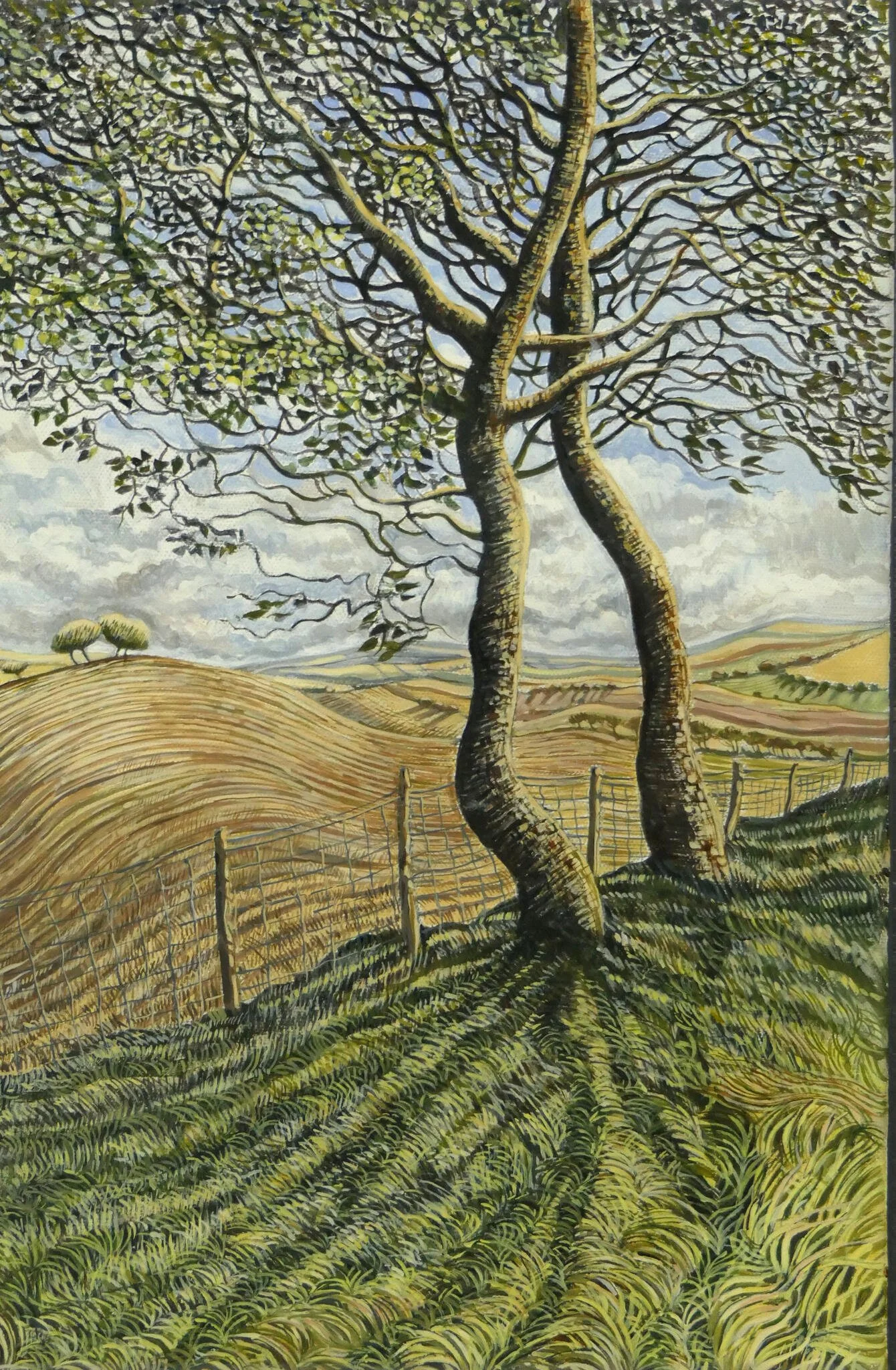  private collection casgliad preifat 54.jpg