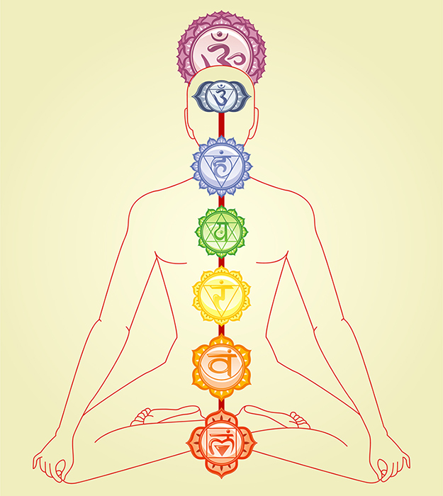 PARA YOGA TRAINING IN TOPANGA I am beyond excited to be collaborating with Tracee Stanley on her next Para Yoga Training in Topanga beginning in March 2017. I will be teaching the Ayurveda module, something I am very passionate about. This teacher training will be taught over the course of 10 months (every 3rd weekend of each month) and will include in-depth knowledge about the subtle body, chakras, anatomy, the 4 desires as taught by Rod Stryker, Yoga Nidra, Ayurveda, the Yoga Sutras, Vinyasa Krama, pranayama and meditation.
