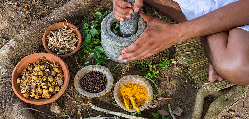 AYURVEDA TIPS OF THE MONTH 1. Ayurveda talks about 3 seasons that correspond to the three primary doshas: Fall/Winter is Vata season (November-February), Spring is Kapha season (March-June) and Summer is Pitta season (July-October). Watch out for dry skin and irregular digestion, both Vata related and easy to balance. Use the Vata Massage Oil for your daily abhyanga. This oil is made from organic sesame and olive oil and is infused with herbs that are grounding, relaxing and warming, such as ashwagandha, sharavari, tulsi, bala and others. It is very light and luxurious. 2. Take extra care to keep your internal fire (agni) kindled. Eat warm, moist foods—think stews, soups, and root veggies — and save the salads and cold snacks for summer. Avoid raw or cold foods. Stewed apples, pears and prunes with cloves make a great breakfast! Eat more proteins and fats to rebuild the body and mind while insulating us from the colder months. Prepare foods that taste sweet, sour, and salty. Why these tastes? In each case, nature is providing something the body needs to pacify the change of season and balance the qualities of Vata. 3. Relax and sit down when you eat. 4. Stick to a routine: eat, practice, play, rest at the same time every day. 5. Wear hats or beanies to keep your head warm. 6. Snuggle up in front of a fire with a good book and a blanket and a cup of chai or hot tea. Warm milk (almond is fine) laced with ghee (or coconut oil), honey, cinnamon and cardamom is a perfect nighttime elixir (I add half a teaspoon of Ashwhaganda and Shatavari powder). 7. Go to bed earlier (before 10pm) and rub some more oil on your feet (sesame oil with lavender, or my Vata Balancing Blend ).