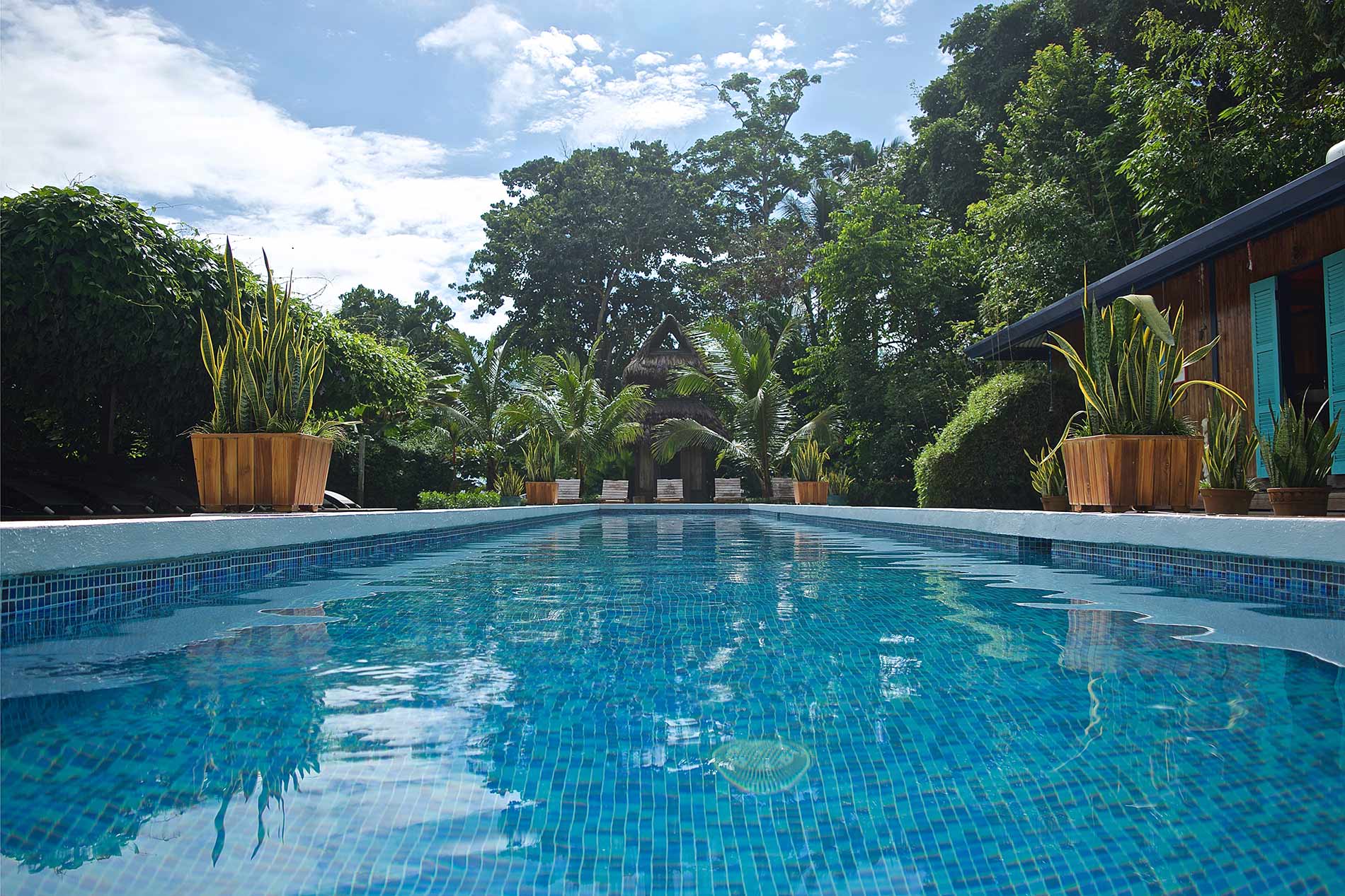 POOL.2.jpg