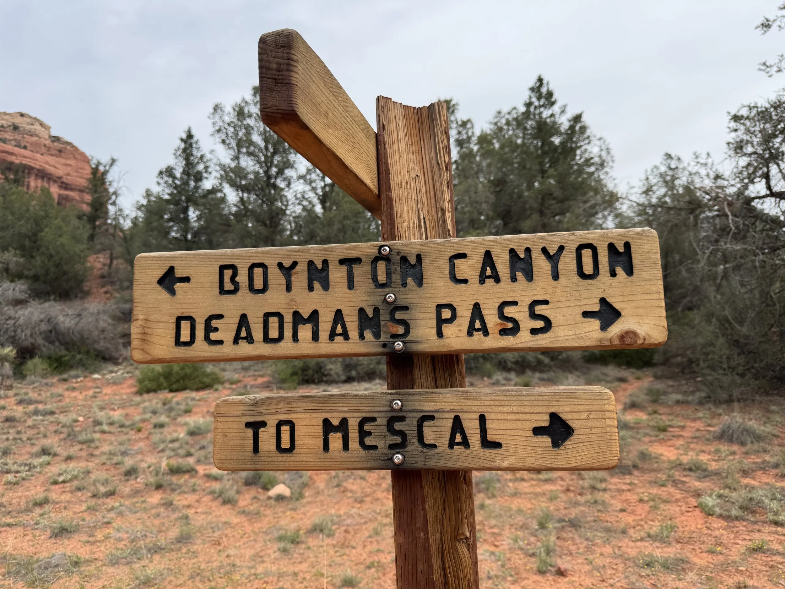 hike 11.JPG