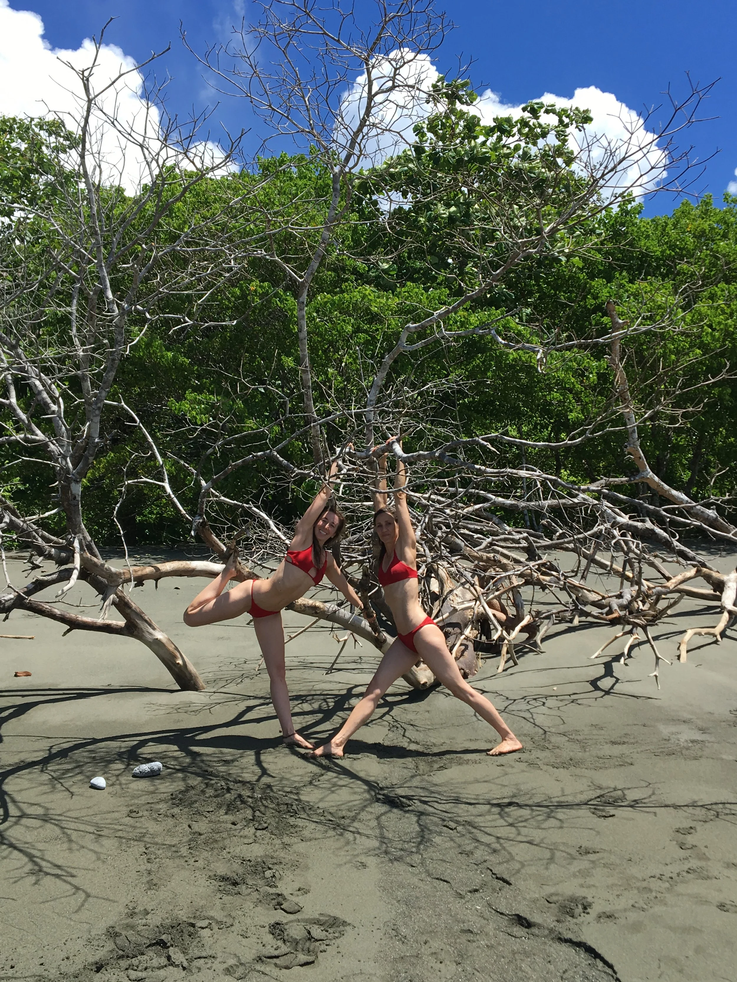 Two women in red bikinis pose playfully behind a large fallen tree on a sandy beach, with green trees and a blue sky with fluffy clouds in the background.