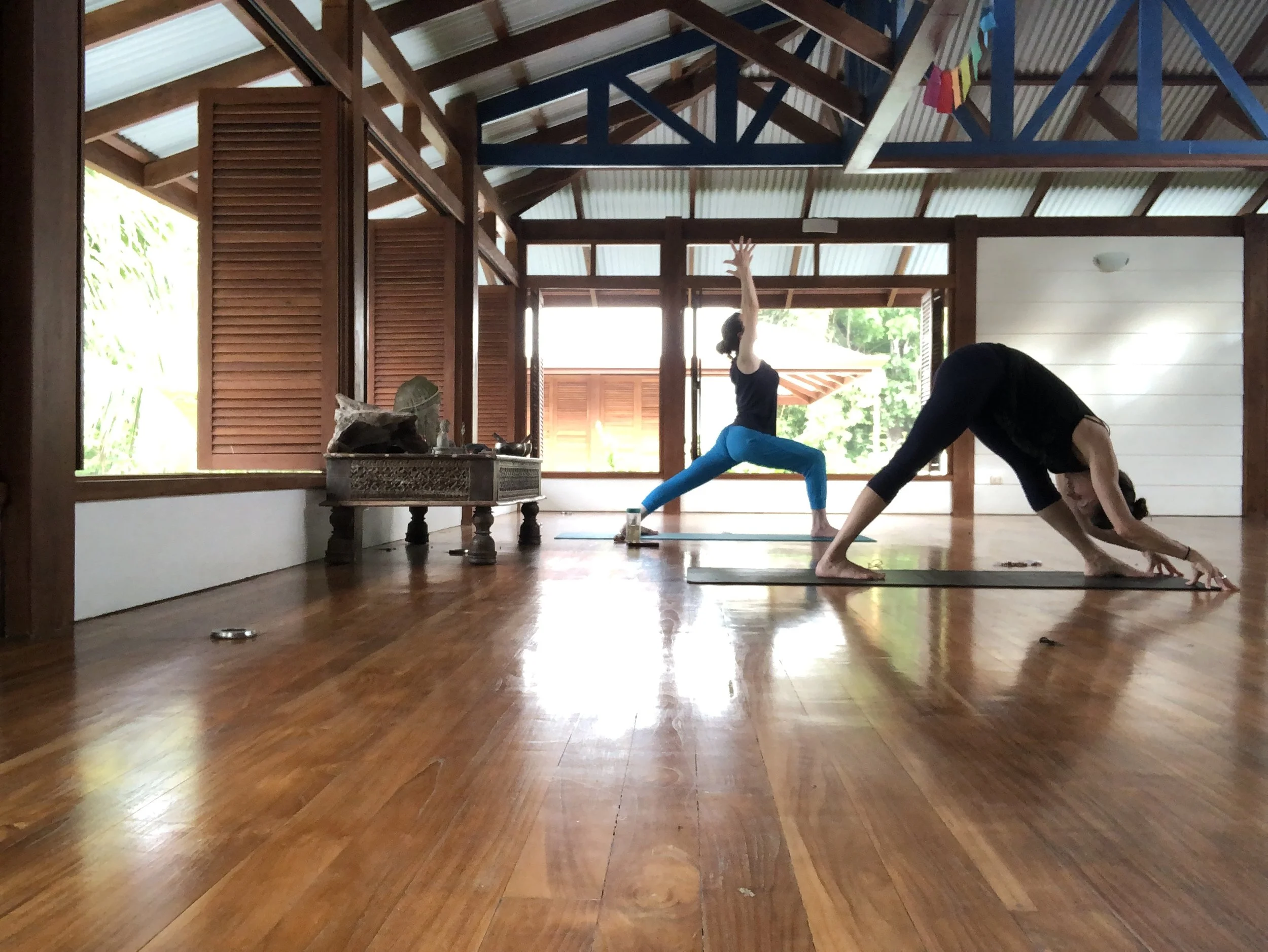 Two women practicing yoga in a wooden-floored room with large open windows and a high, exposed beam ceiling. Vivica Schwartz is in a downward dog pose, and the other is in a side plank pose. Yoga retreat in Costa Rica led by Vivica Schwartz. 