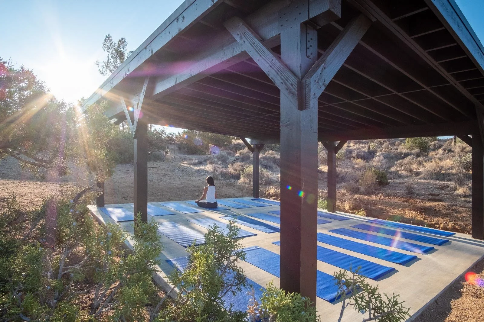 GV Yoga Pavillion.jpeg