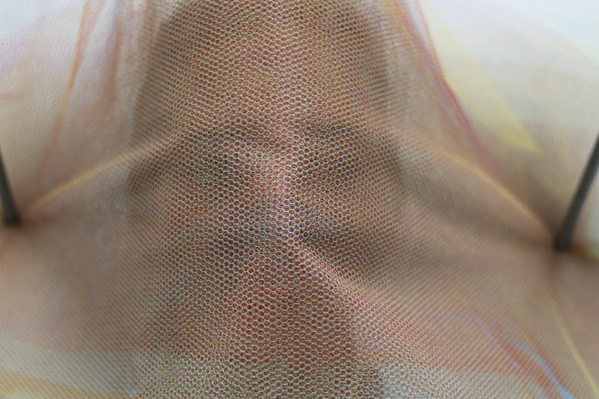 Brown on Brown close up.jpg