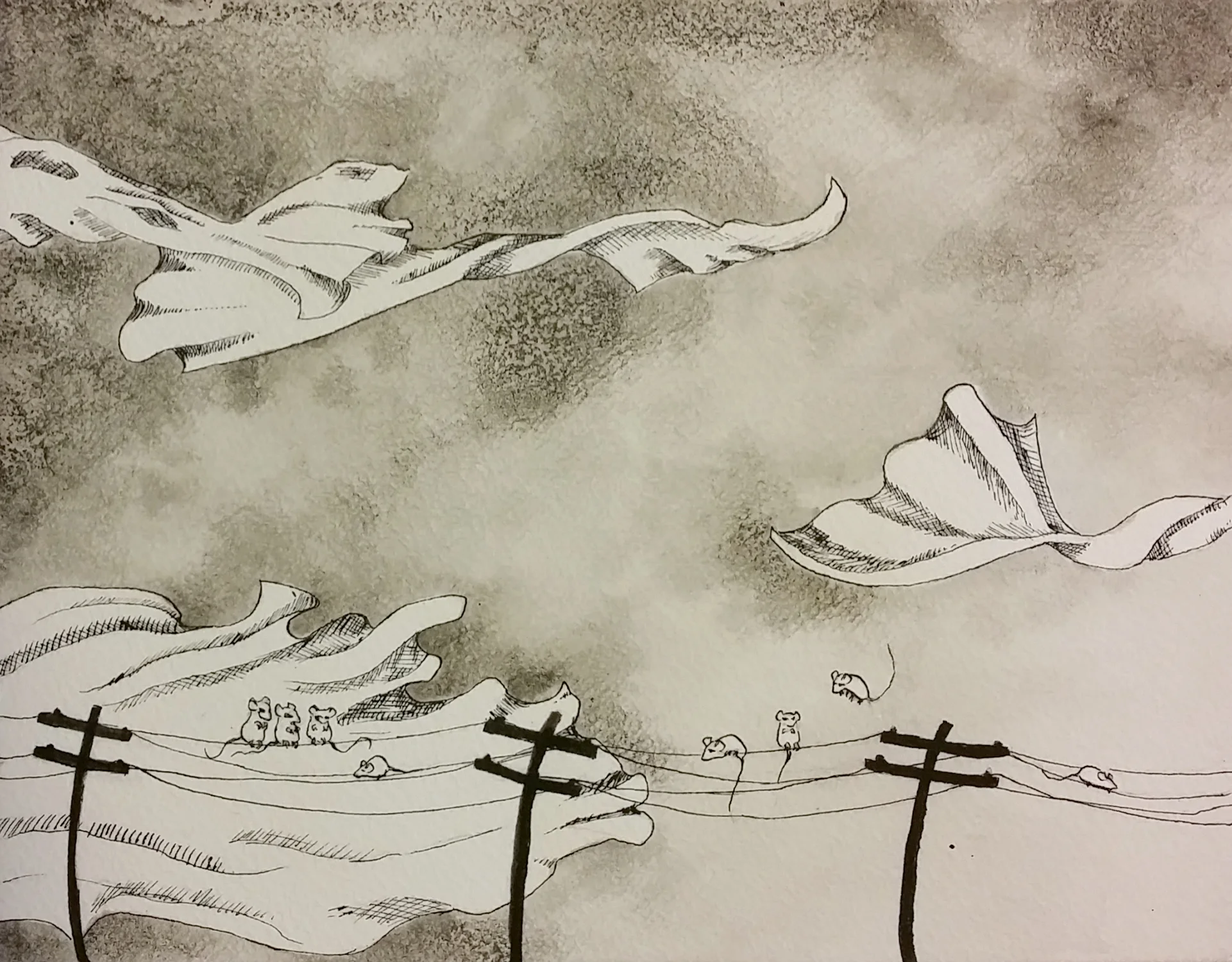 Spontaneous Generation 2
