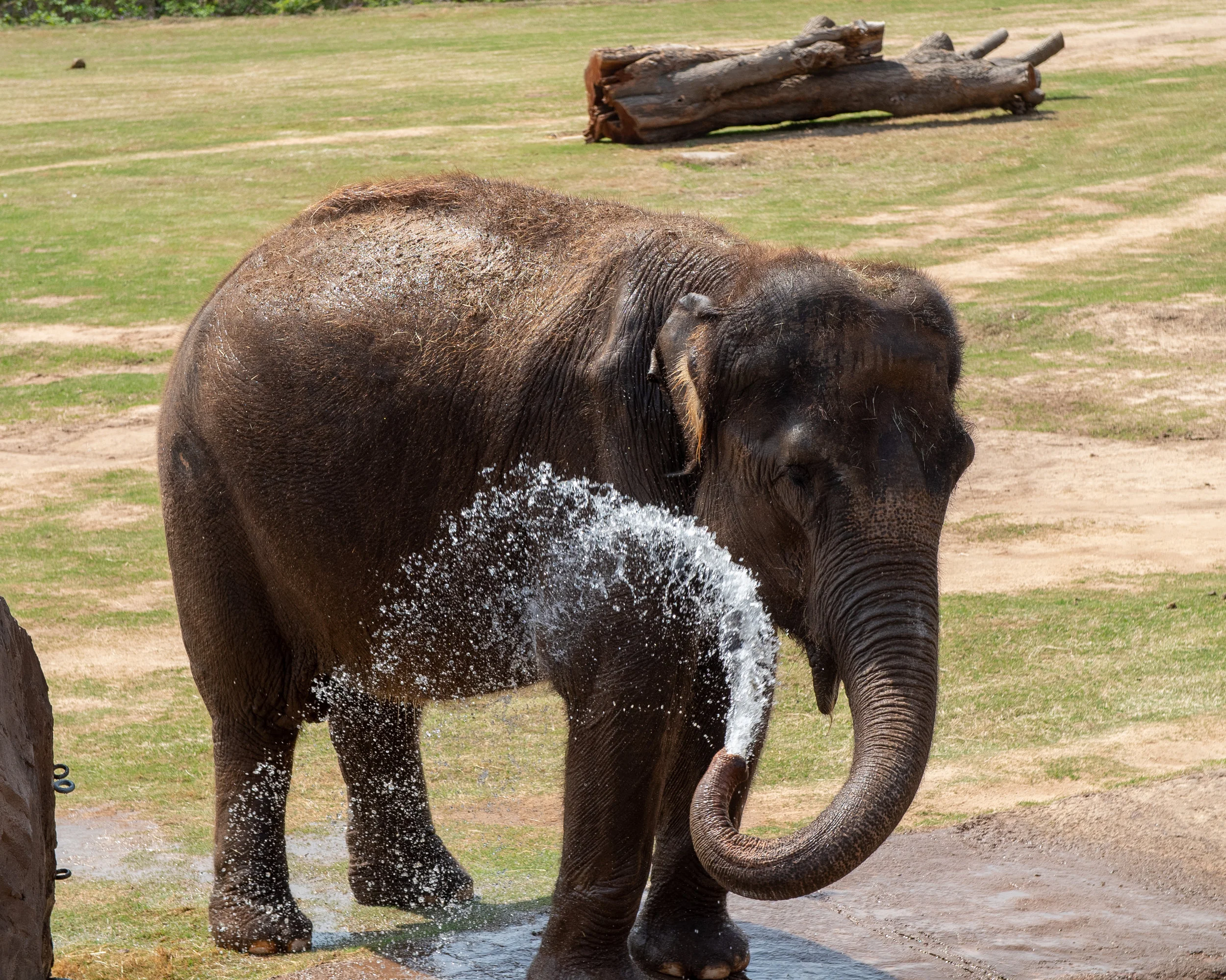 OKC Zoo 3-29 (20 of 24).jpg
