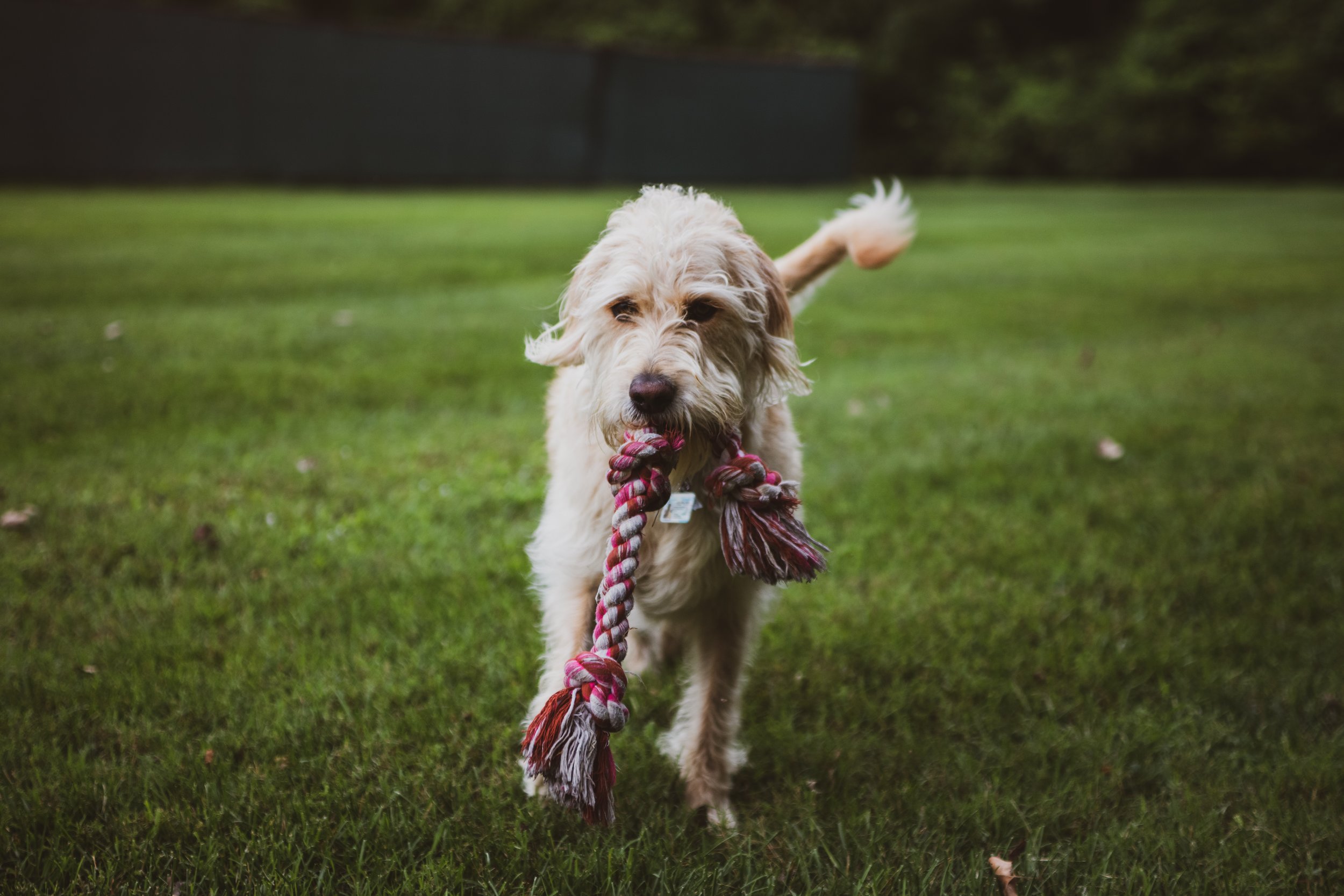 George 5Ds tests (1 of 10).jpg