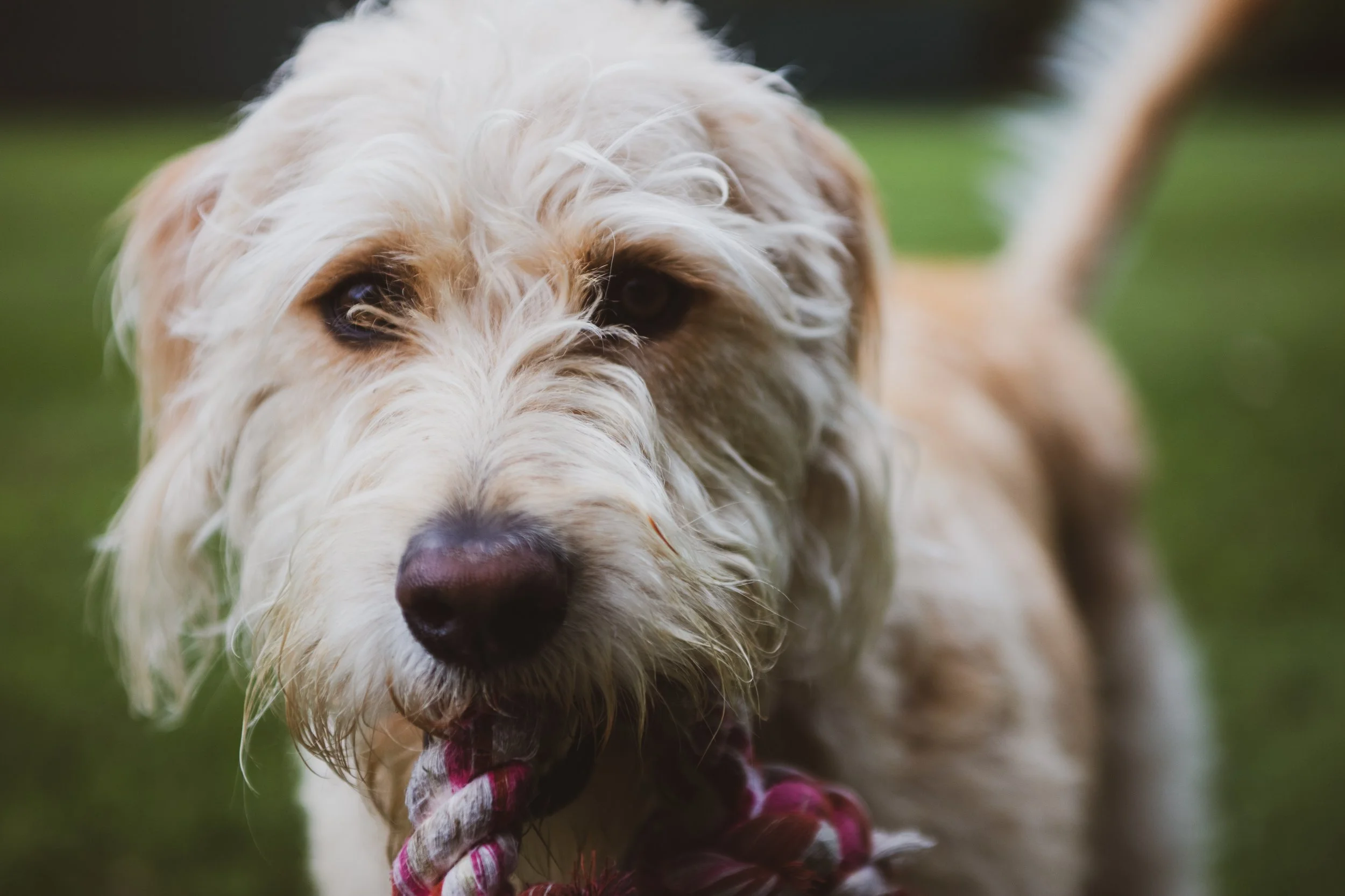 George 5Ds tests (2 of 10).jpg