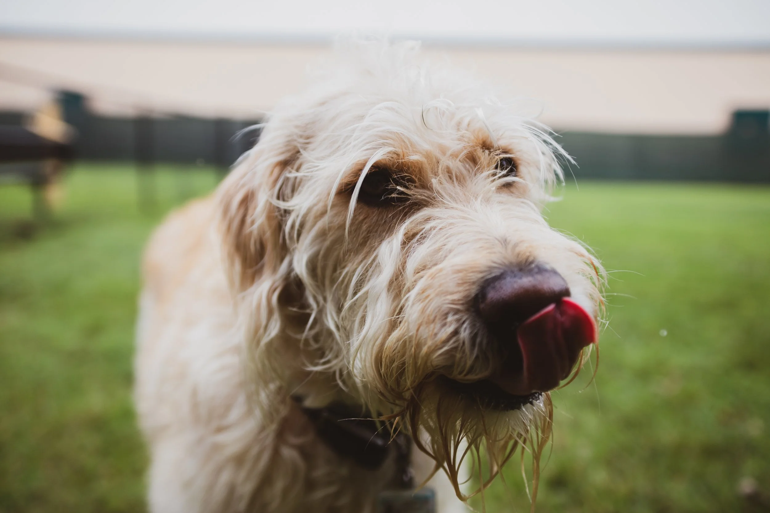 George 5Ds tests (9 of 10).jpg