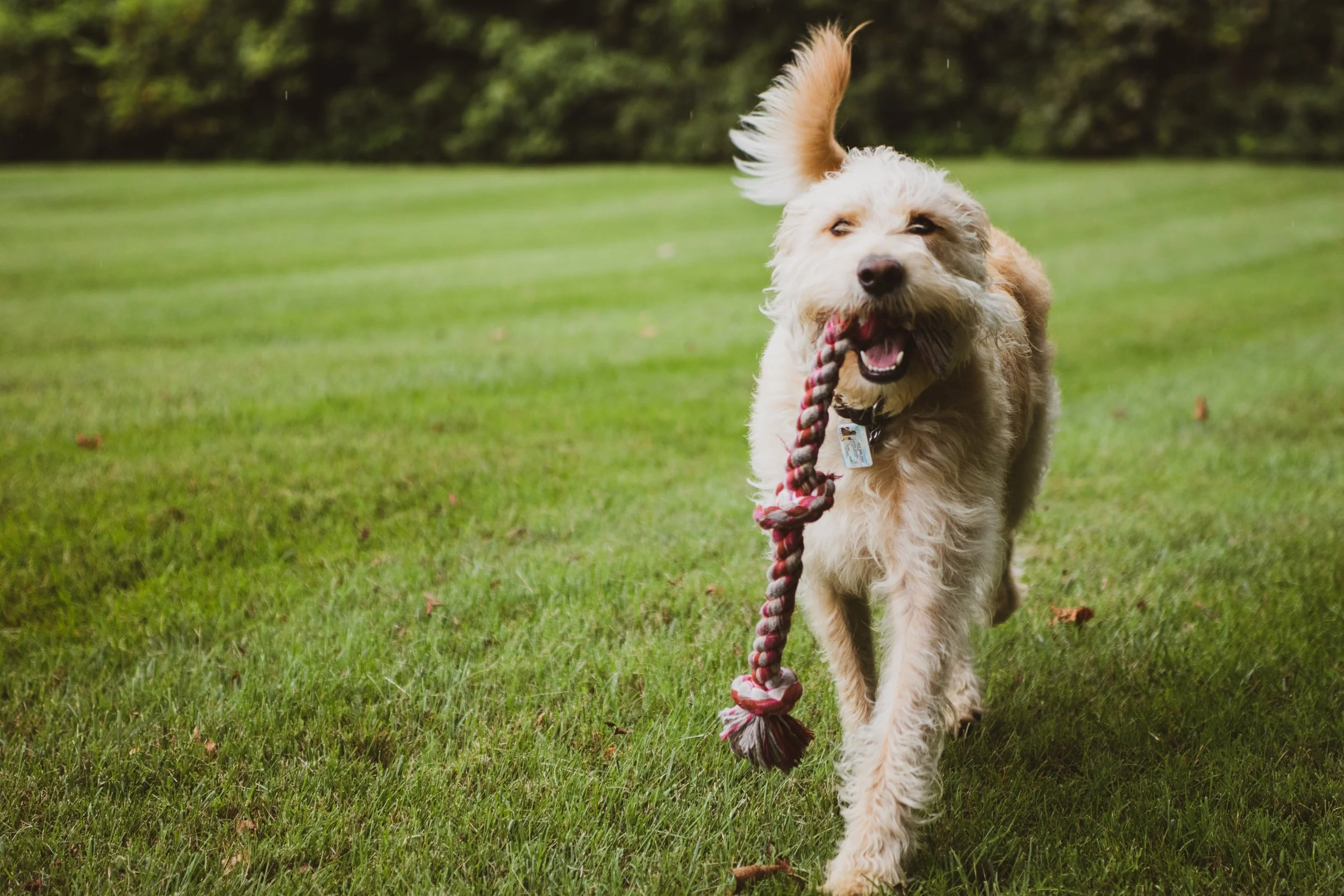 George 5Ds tests (6 of 10).jpg